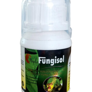 FUNGISOL – Organic contact cum systemic plant protectant for control of broad spectrum fungus