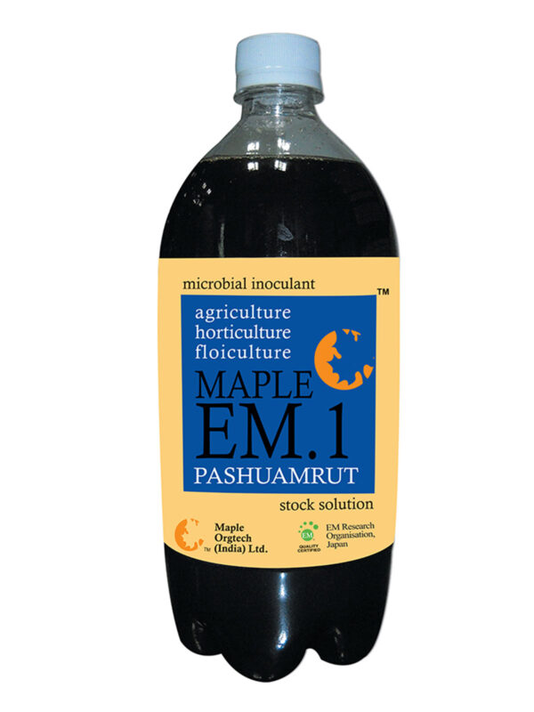 Maple EM.1 Pashuamrut